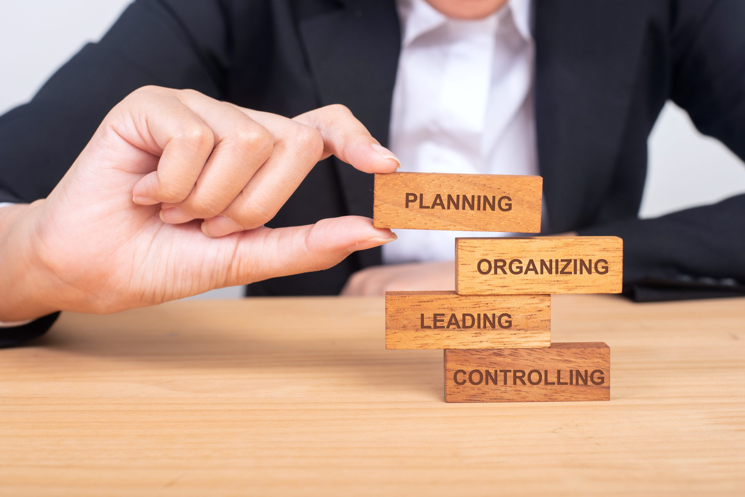 Bachelor Management